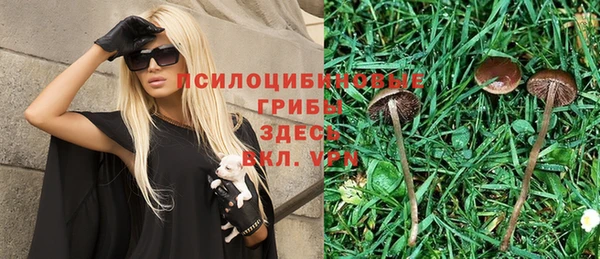 ГАЛЛЮЦИНОГЕННЫЕ ГРИБЫ Алексин
