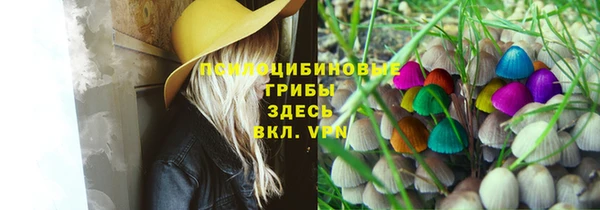 СК Алзамай