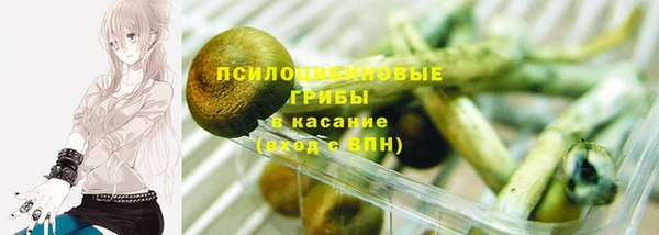 гидропоника Алексеевка