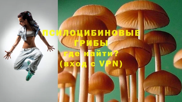 СК Алзамай
