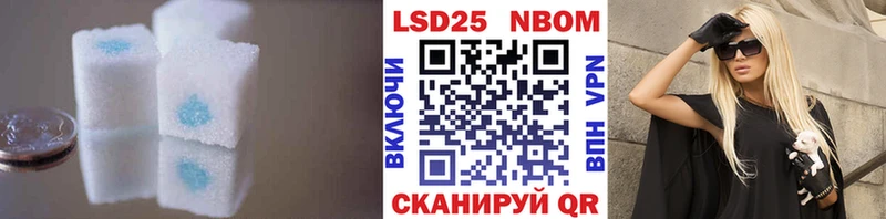 LSD-25 экстази кислота Злынка